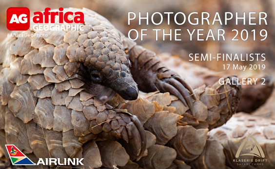 Photographer of the Year 2019 Semi-finalists Gallery 2