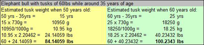 Table 1: Calculations to demonstrate the progression of a potentially-large tusked bull into a large-tusked bull with age.