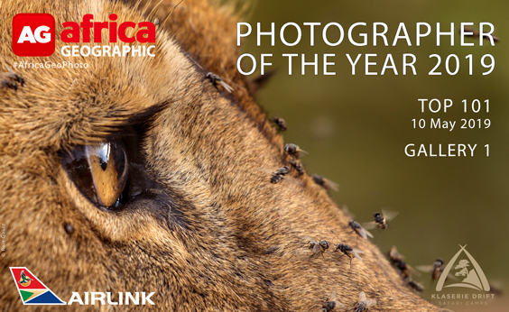 Photographer of the Year 2019 Top 101 Gallery 1