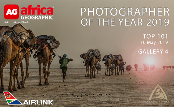 Photographer of the Year 2019 Top 101 Gallery 4