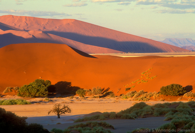 Sossusvlei, Namibia