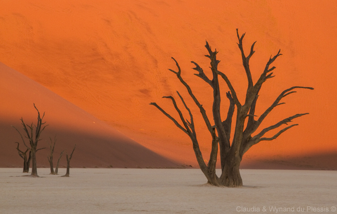 Deadvlei, Namibia