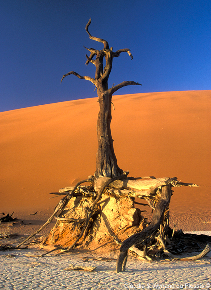 Deadvlei, Namibia