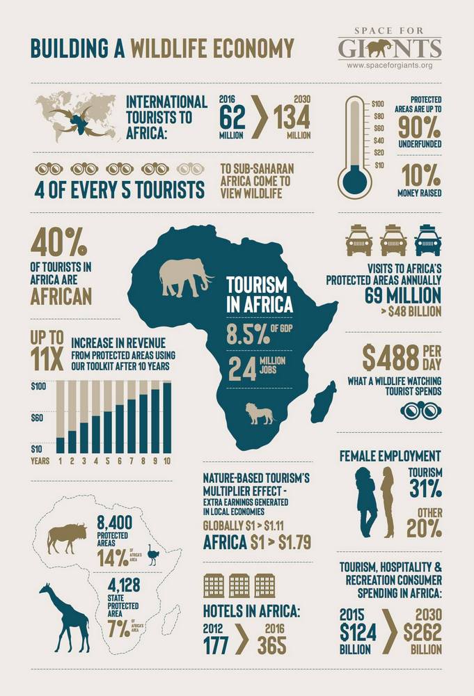 Infographic on building a wildlife economy