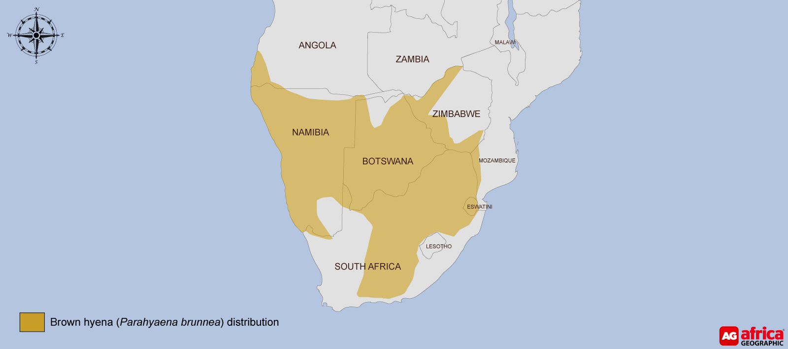 Distribution map of the brown hyena