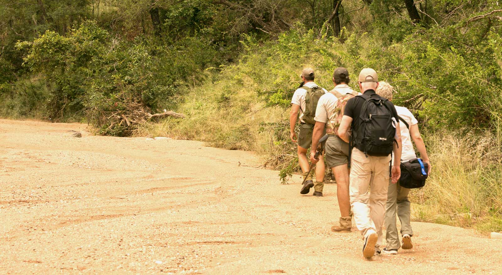 Walking safari