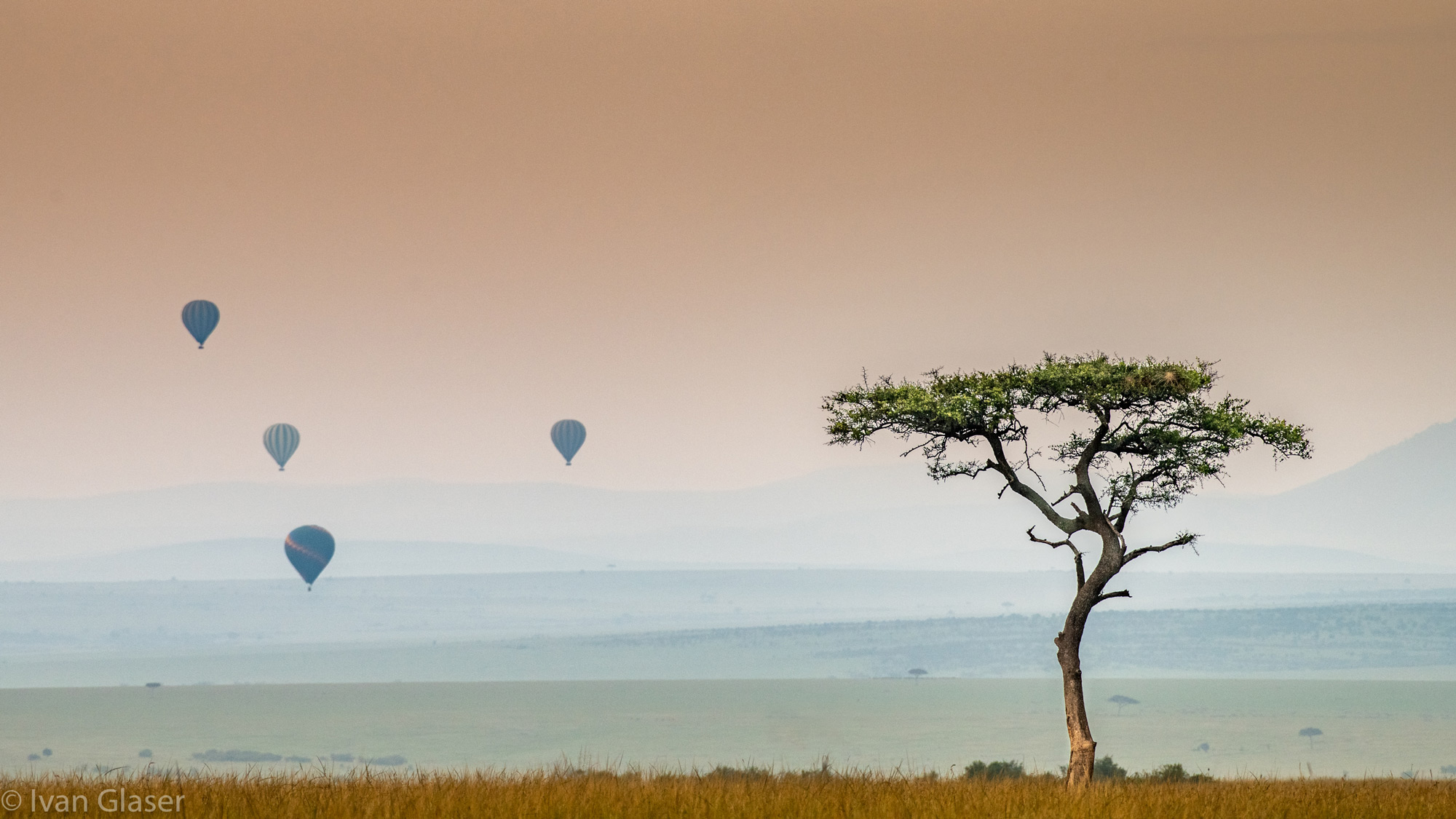 Hot air balloons in Maasai Mara