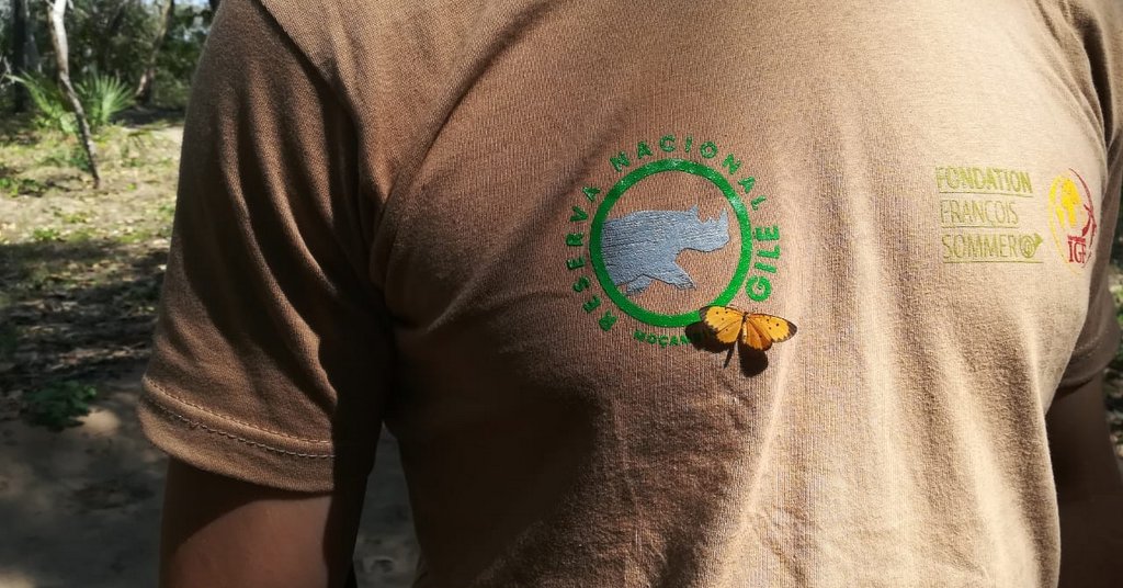Butterfly sitting on t-shirt