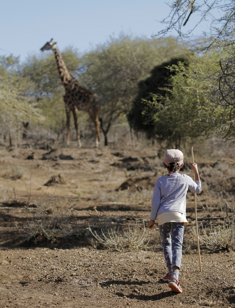 Young girl watching a giraffe in Tanzania