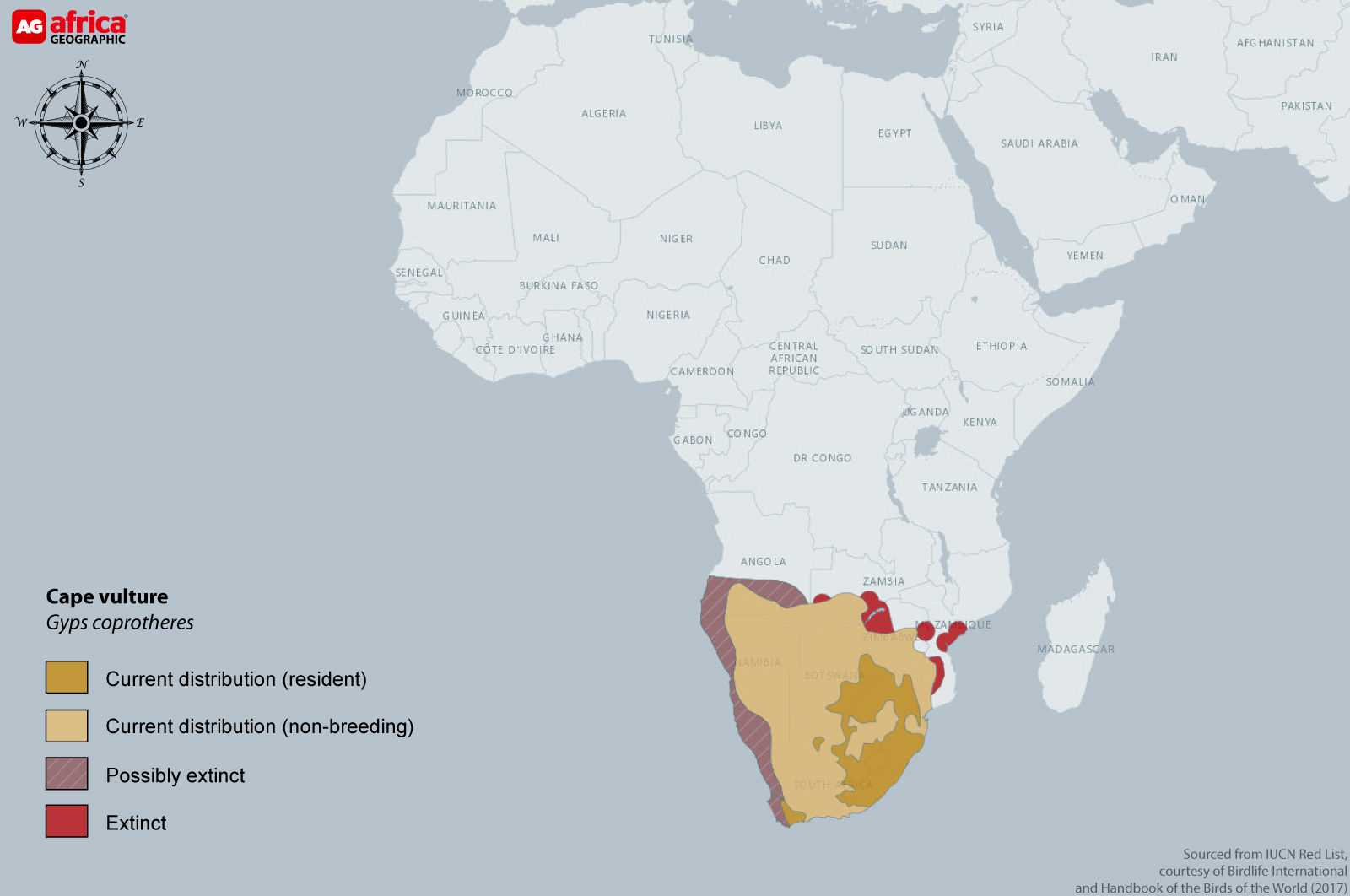 Distribution map of Cape vulture