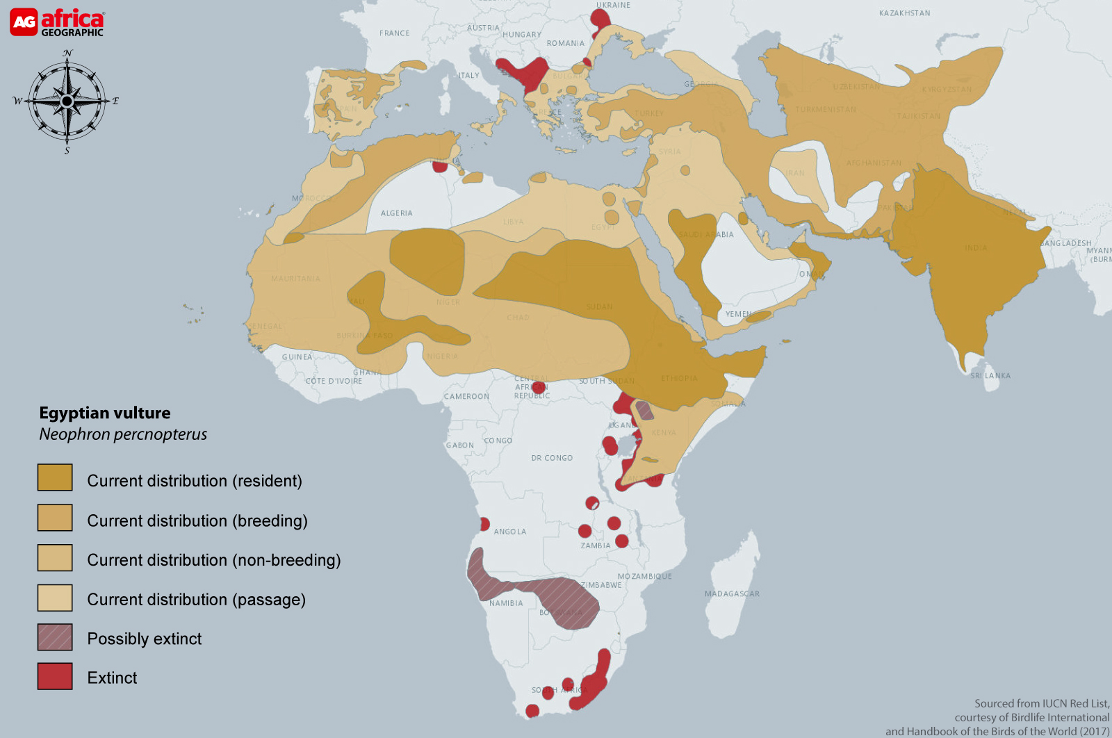 Distribution map of Egyptian vulture
