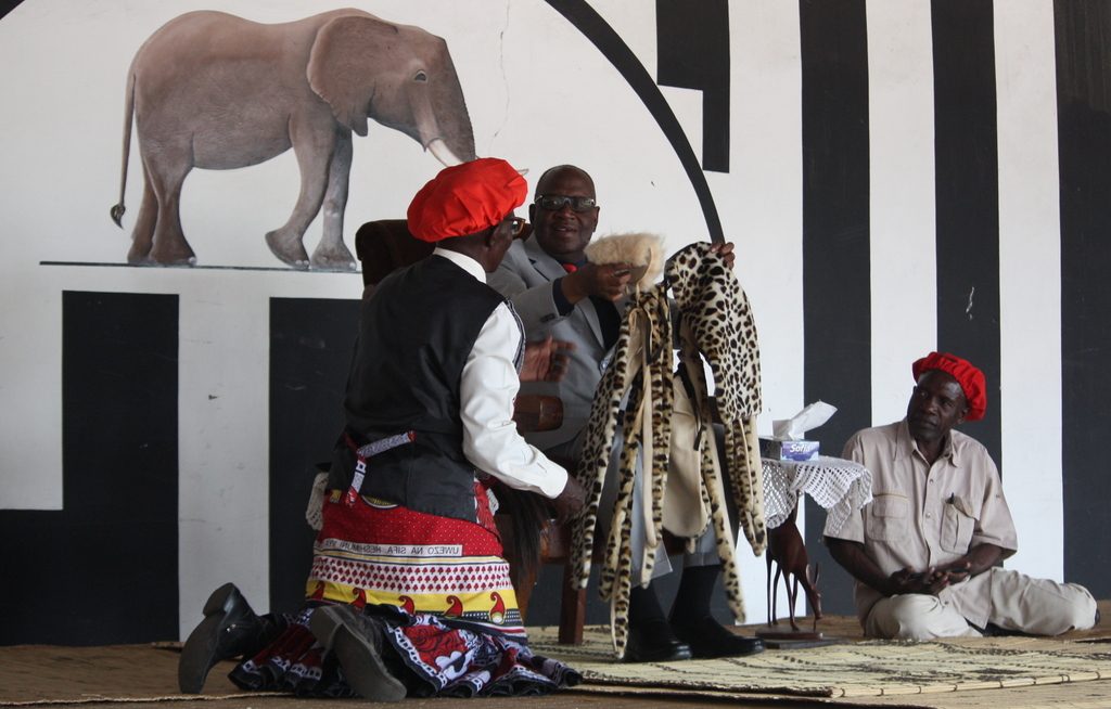 Synthetic wild cat fur, known as Heritage Furs, being presented to the Lozi King