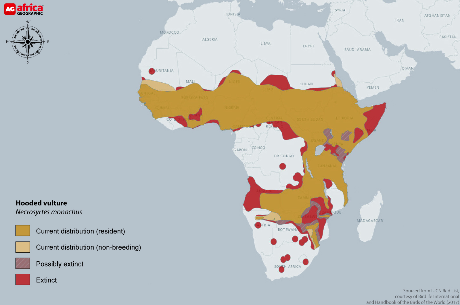 Distribution map of hooded vulture