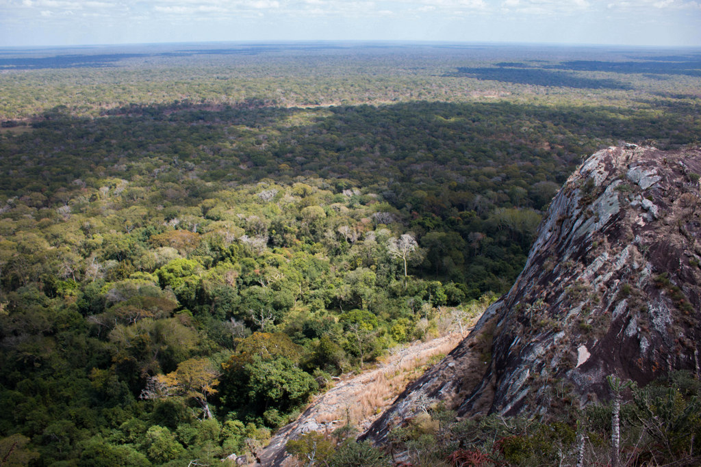 View of Gilé National Reserve in Mozambique