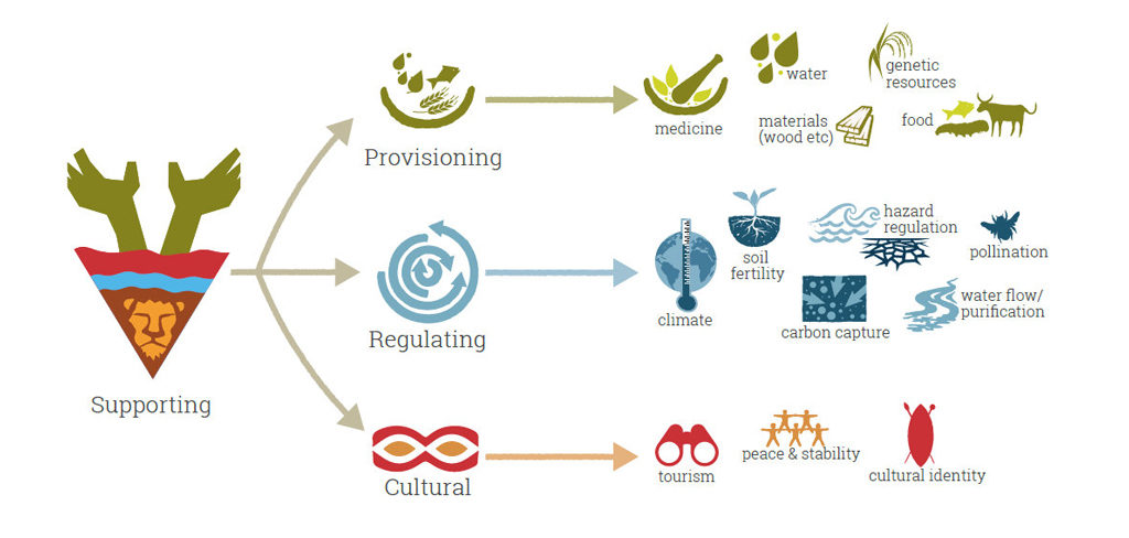 Ecosystem services from lionscapes