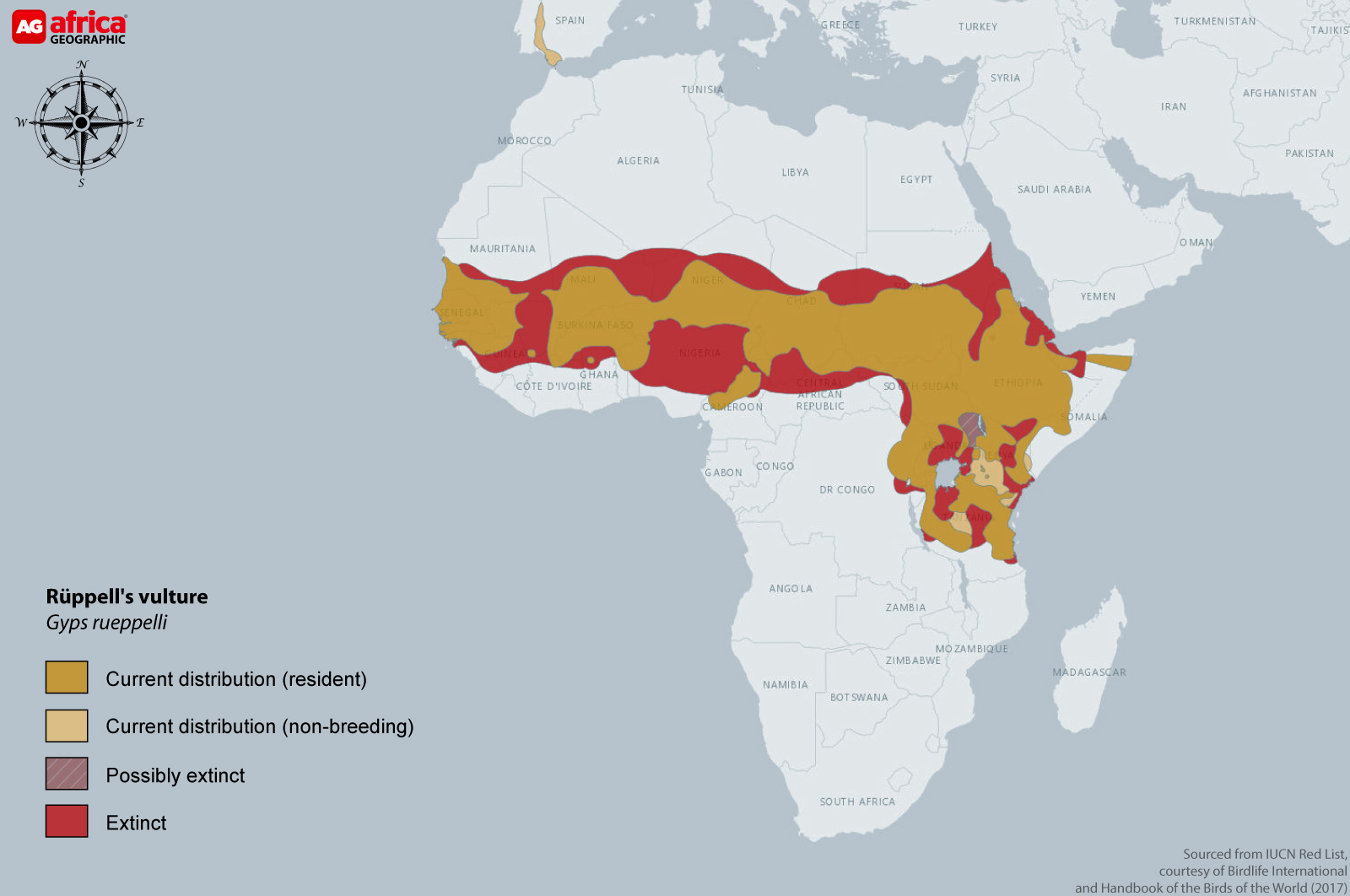 Distribution map of Ruppell's vulture