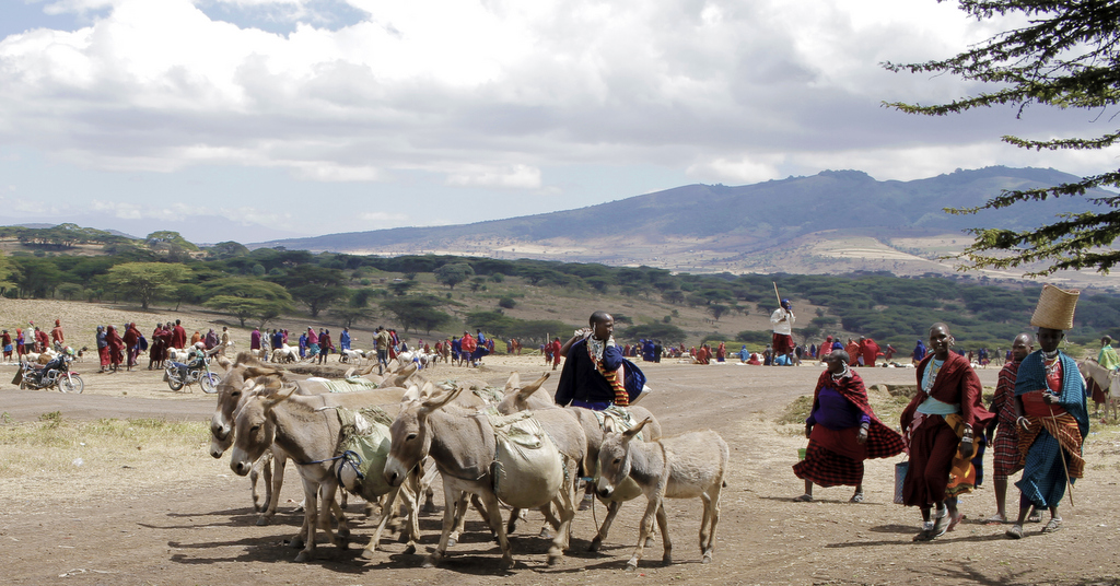 The sheep and goat market at Monduli Juu in Tanzania