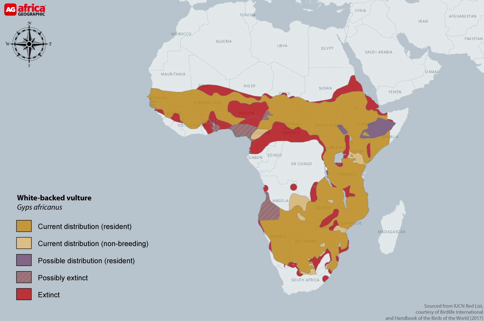 Distribution map of white-backed vulture
