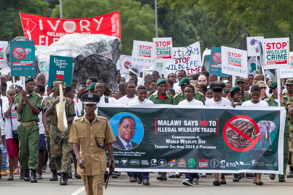 Demonstration against illegal wildlife trade in Malawi