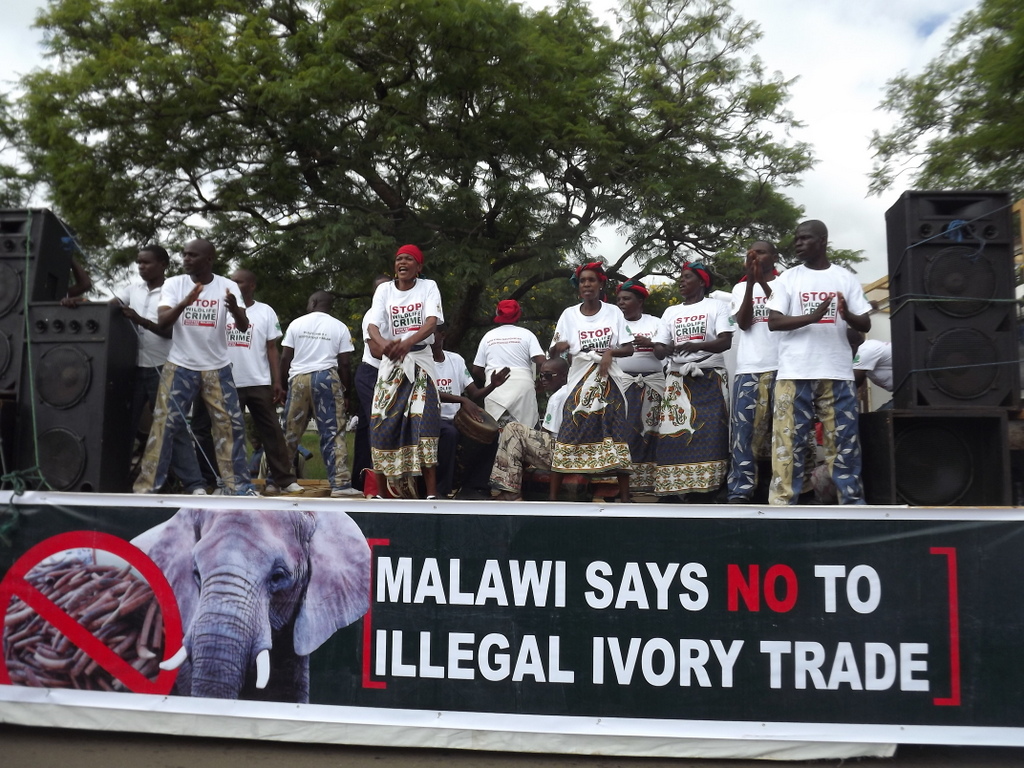 Performers on stage during demonstration against illegal wildlife trade in Malawi