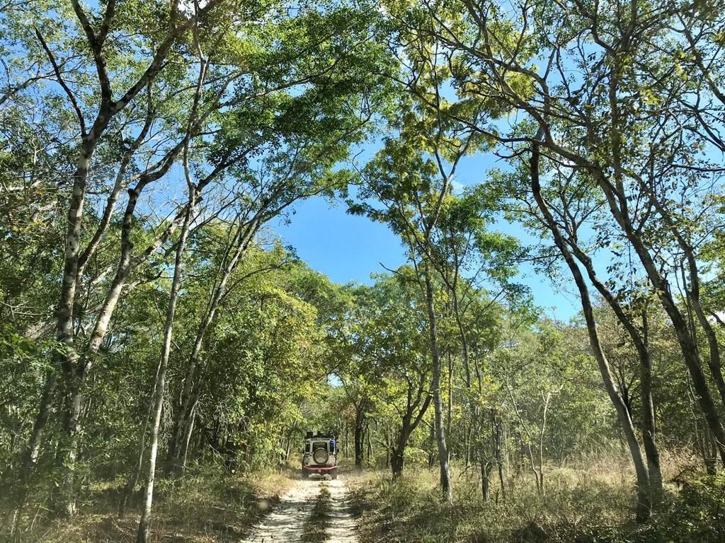 Land Rover making its way through Gilé National Reserve in Mozambique