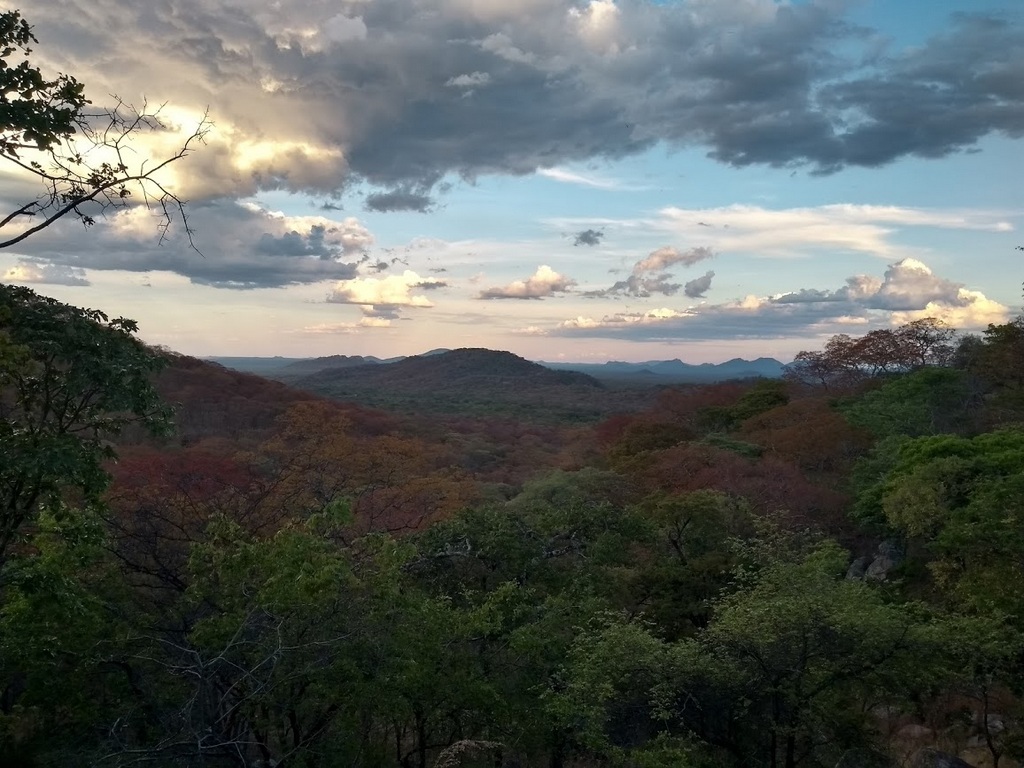 Dense vegetation in southern Tanzania 