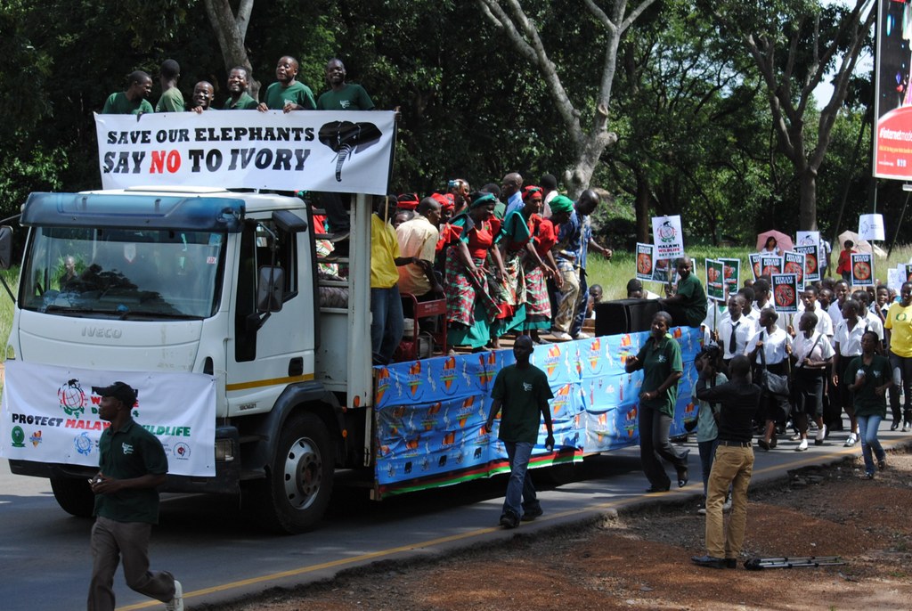 People marching against the illegal wildlife trade in Malawi