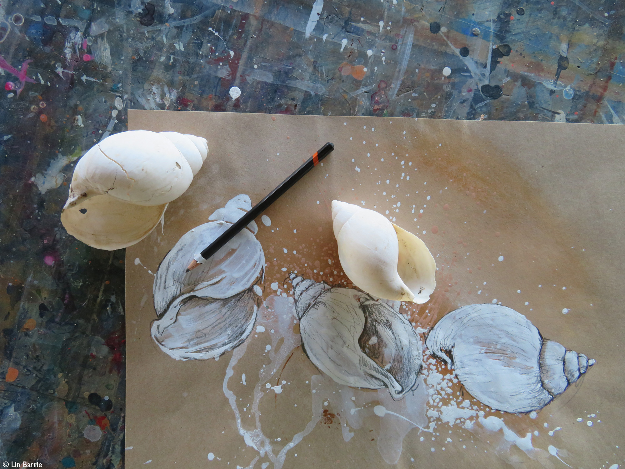 Land snail shells on top of painting of them