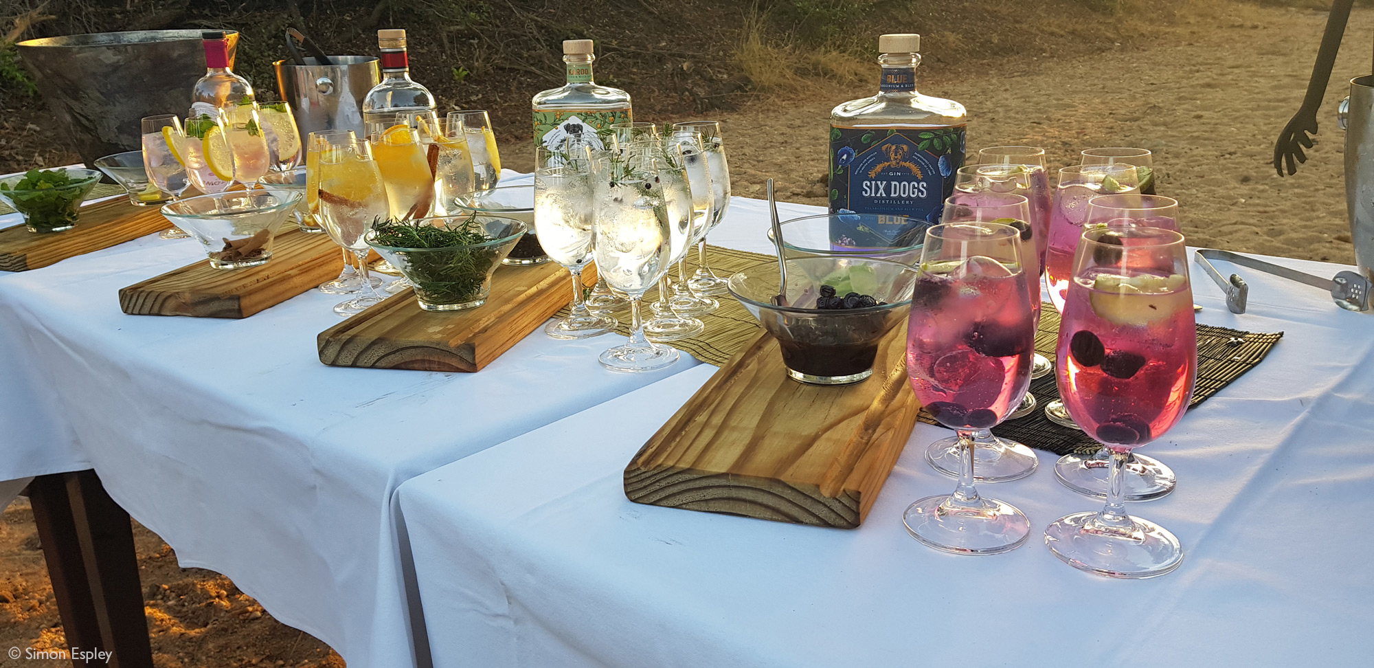 Selection of gin and tonics, Klaserie Private Nature Reserve, South Africa