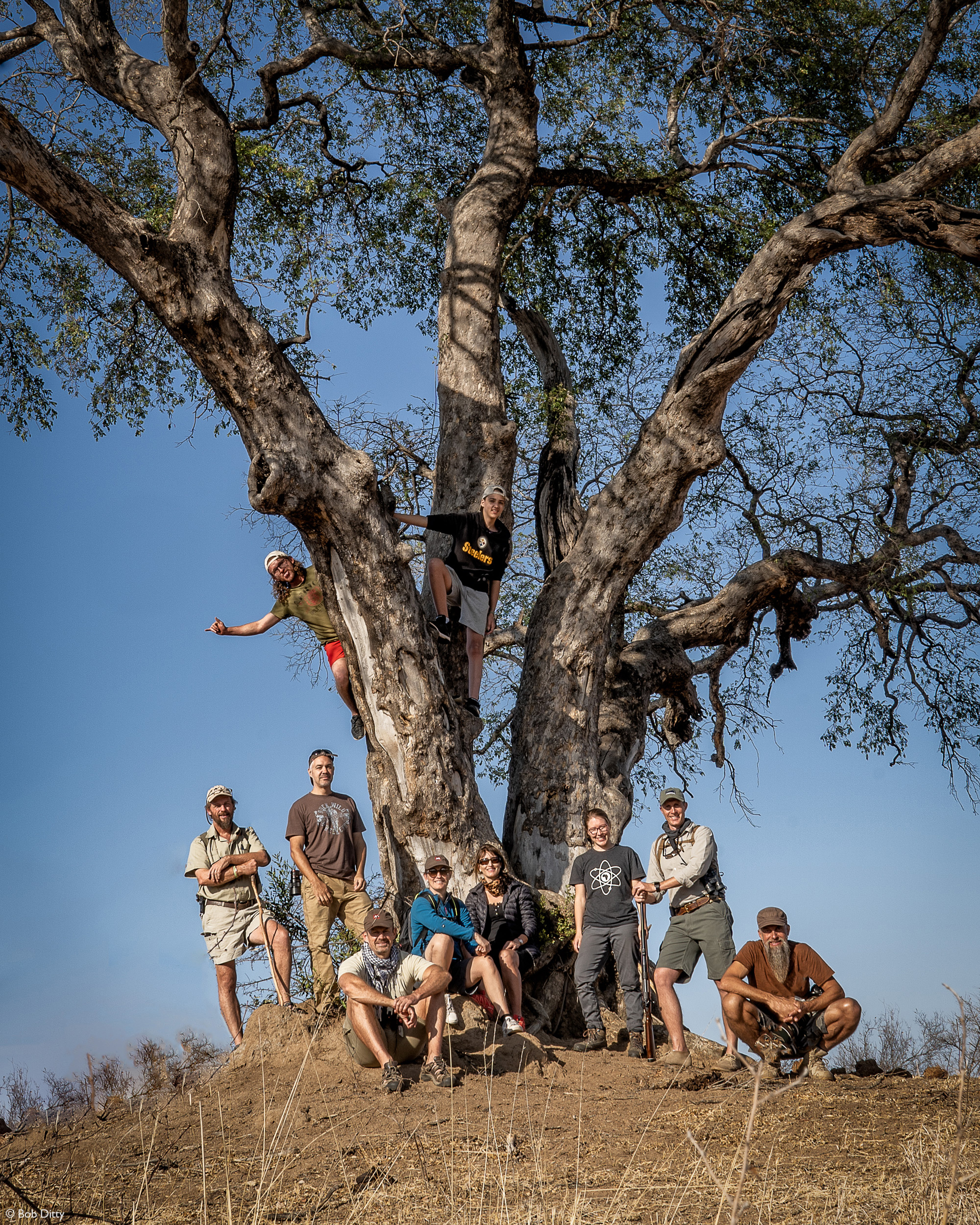 Group photo under weeping boerbean tree, Klaserie Private Nature Reserve, South Africa