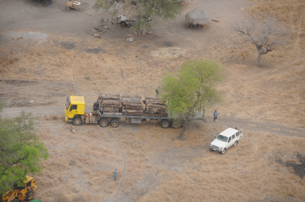 Aerial view of illegal logging in Mozambique