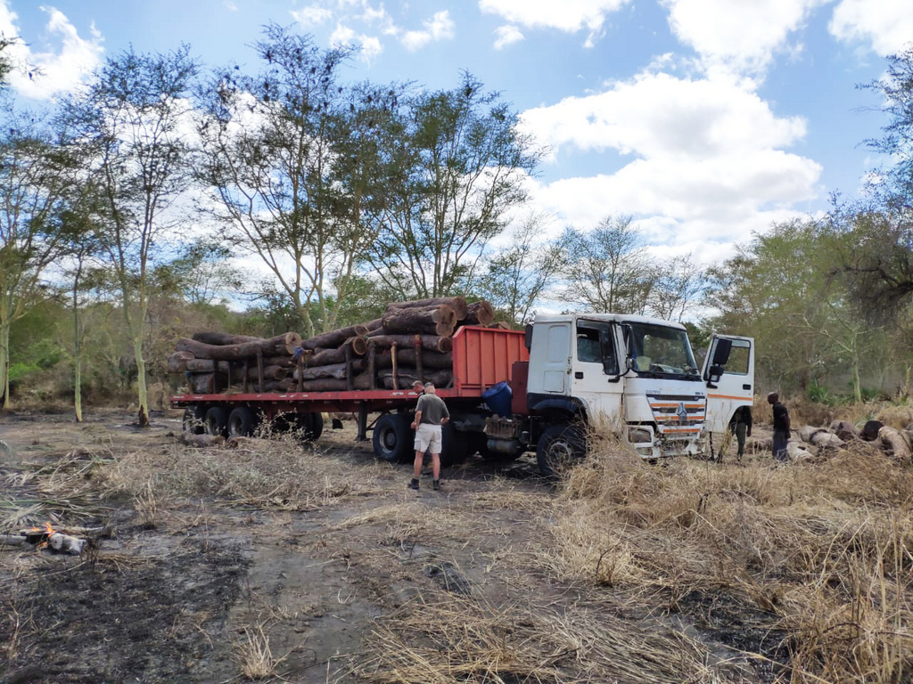 Authorities inspecting a confiscated logging truck in Mozambique