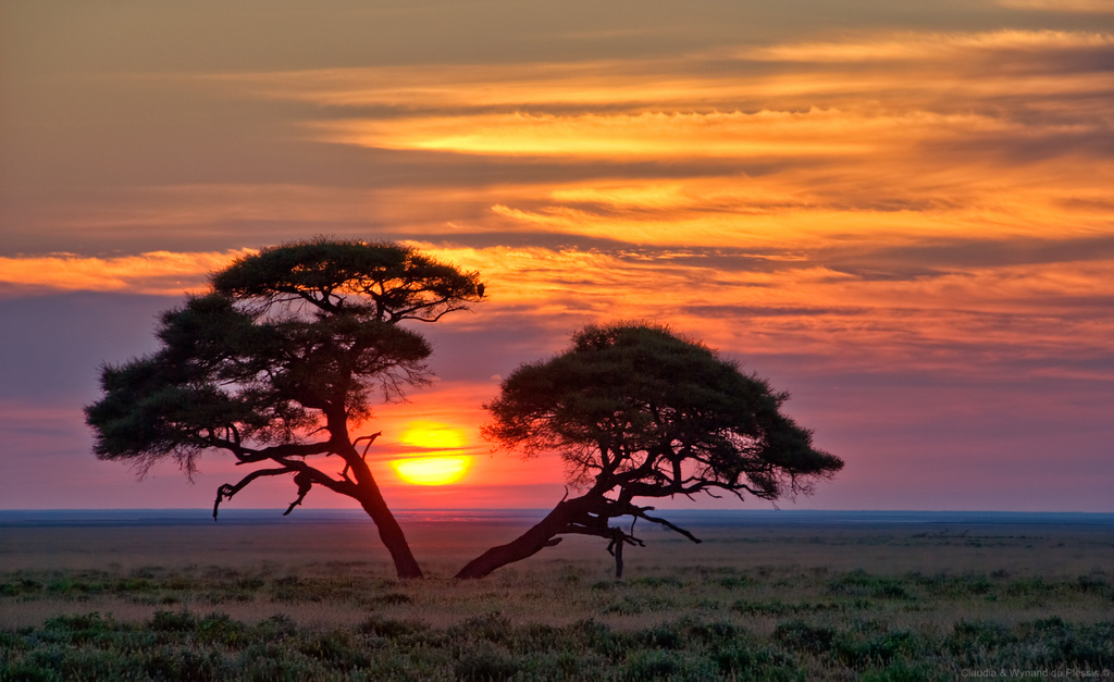 Sunrise in Etosha, Namibia