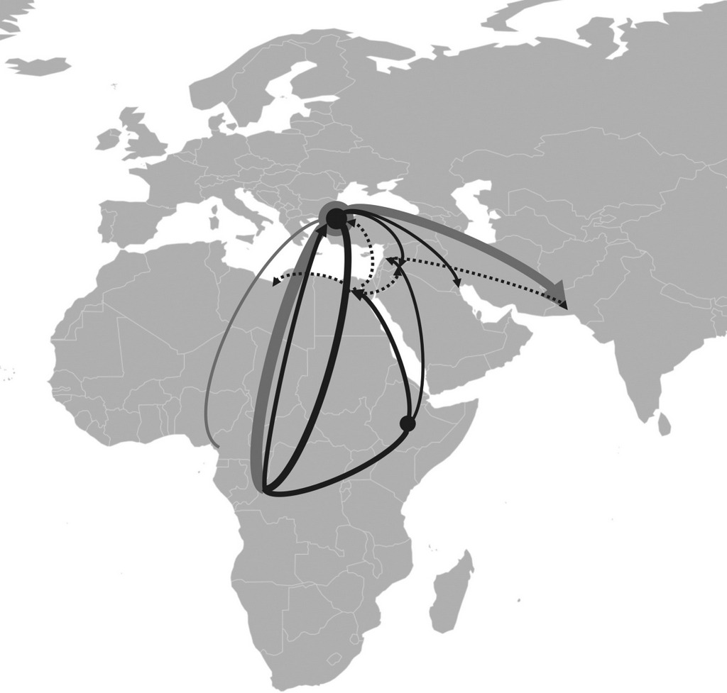 Trade routes of parrots on map