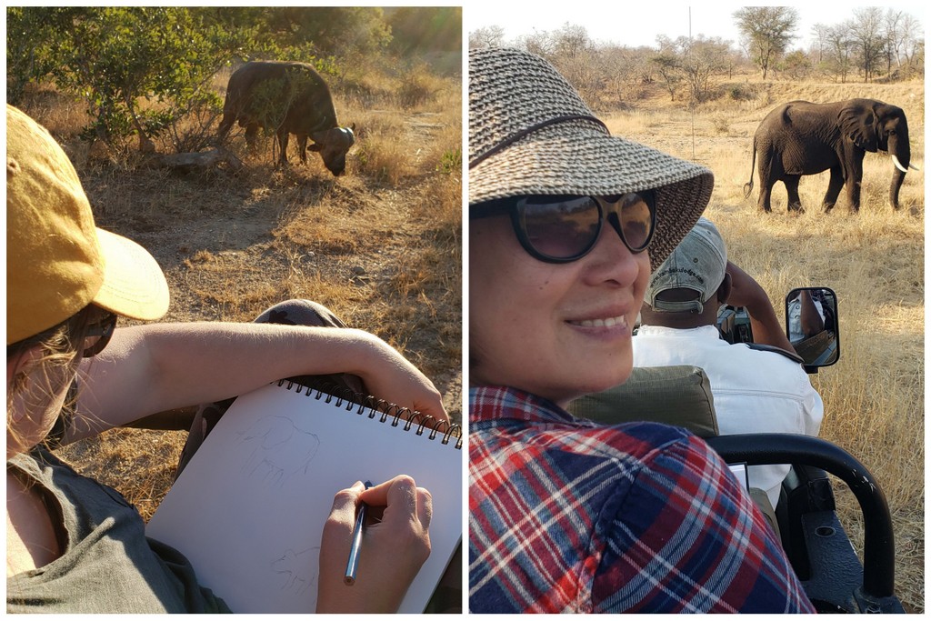 Two images of guests sketching a buffalo and elephant in Greater Kruger, South Africa