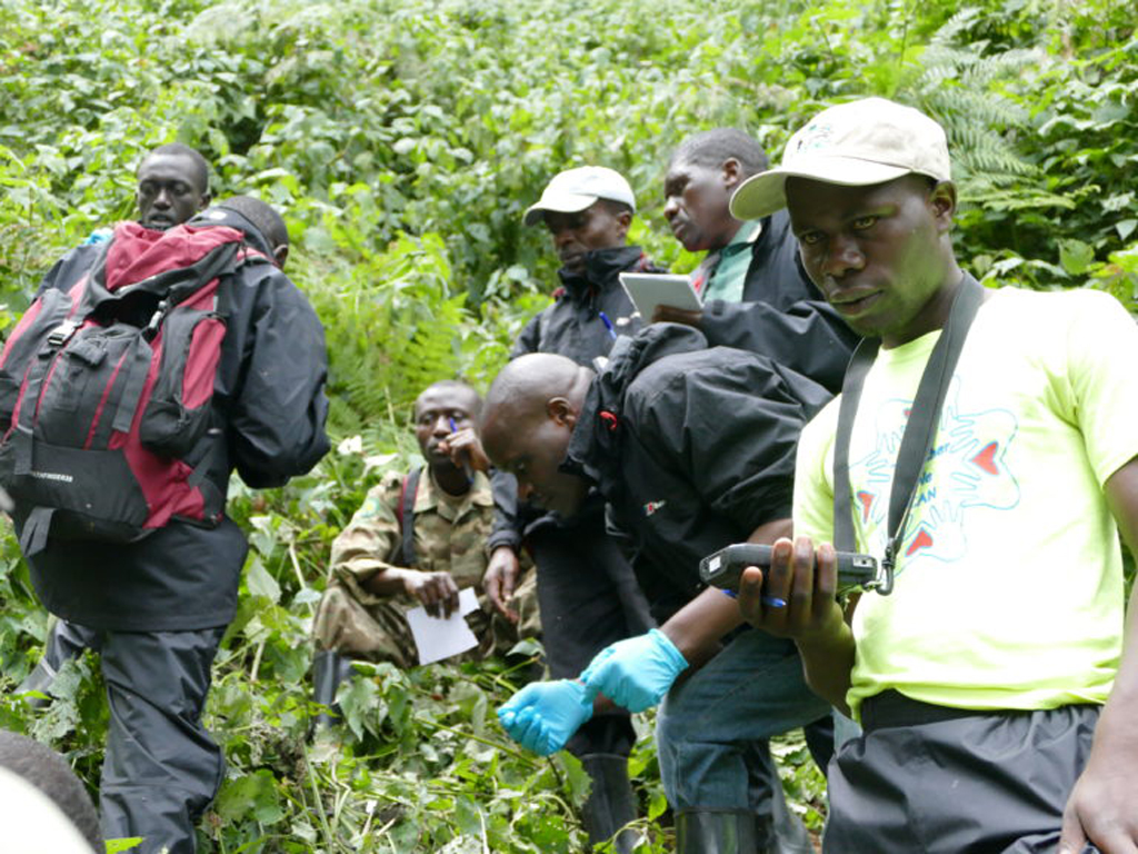 Team members in Bwindi preparing for mountain gorilla population census