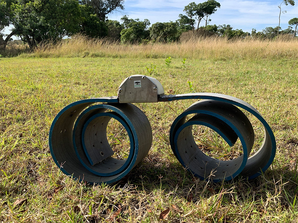 elephant collar, Botswana elephant hunting 