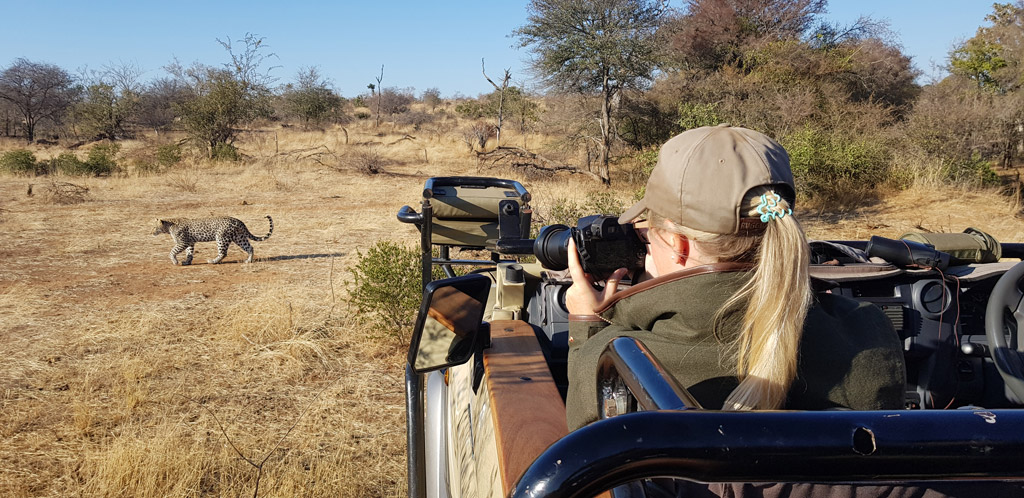 Greater Kruger game drive