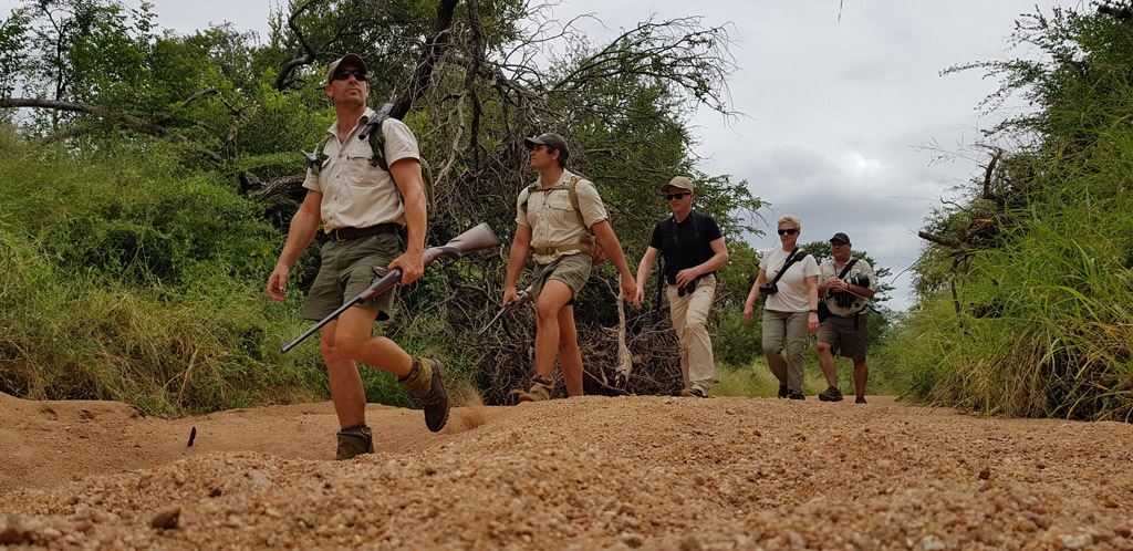 Greater Kruger walking safari