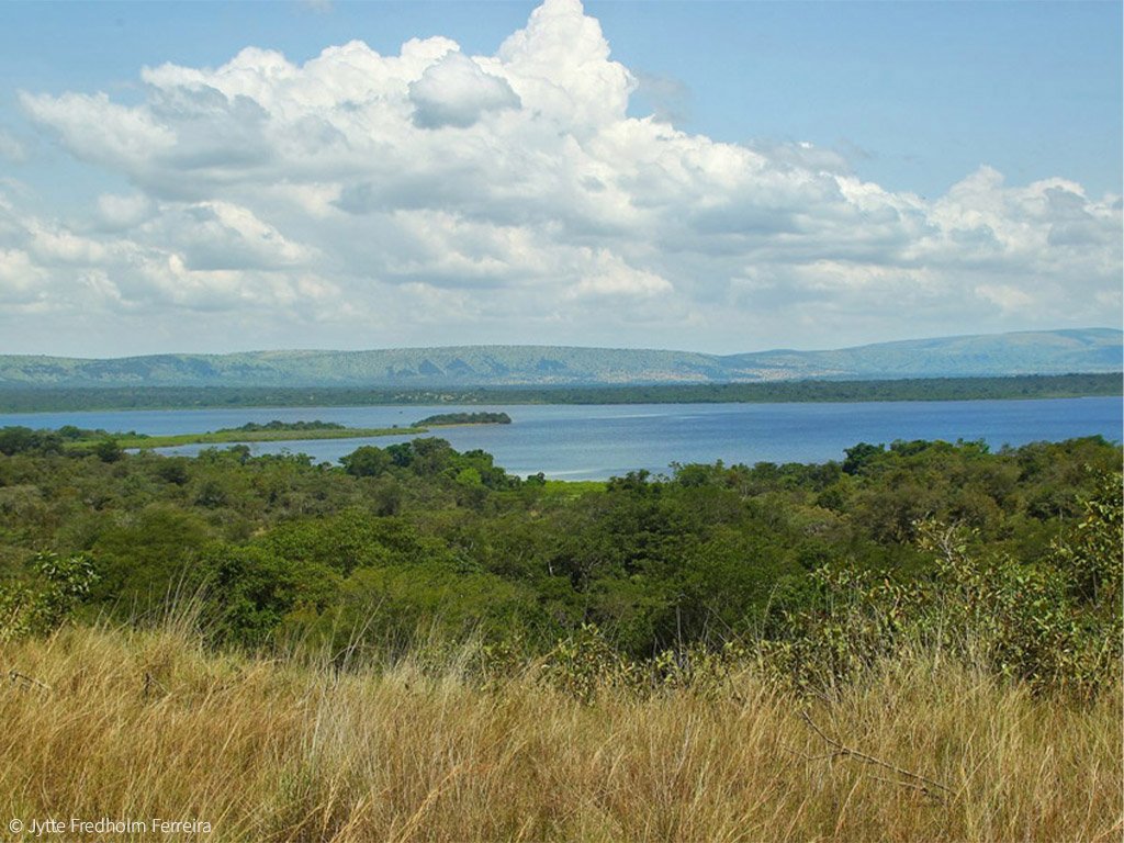 Akagera