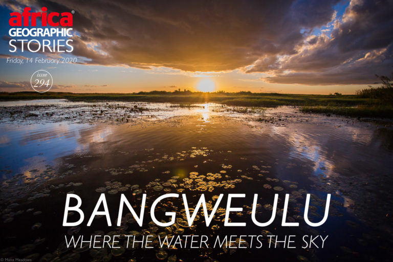 Bangweulu where the water meets the sky Africa Geographic