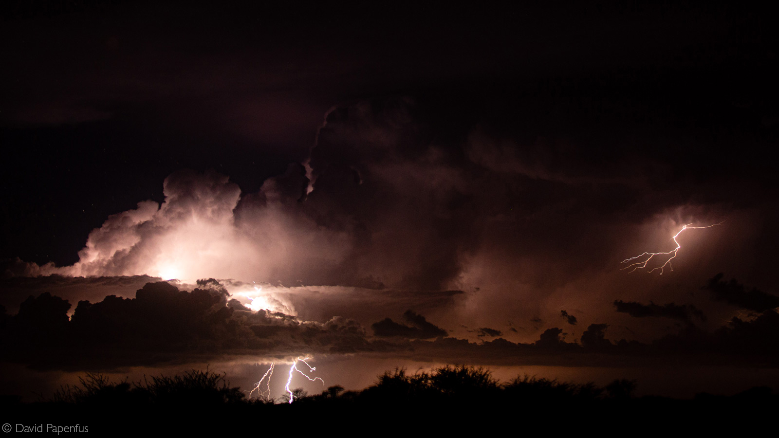 Distant thunderstorm. Kgalagadi Transfrontier Park, Botswana © David Papenfus