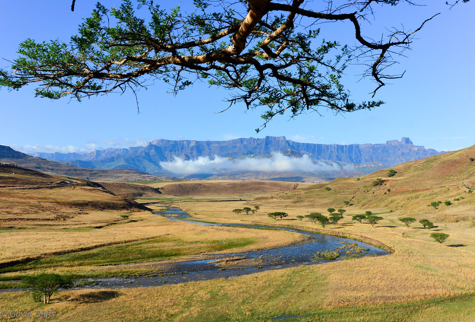 View of the Drakensburg Amphitheatre. Royal Natal National Park, South Africa © Gavin Duffy