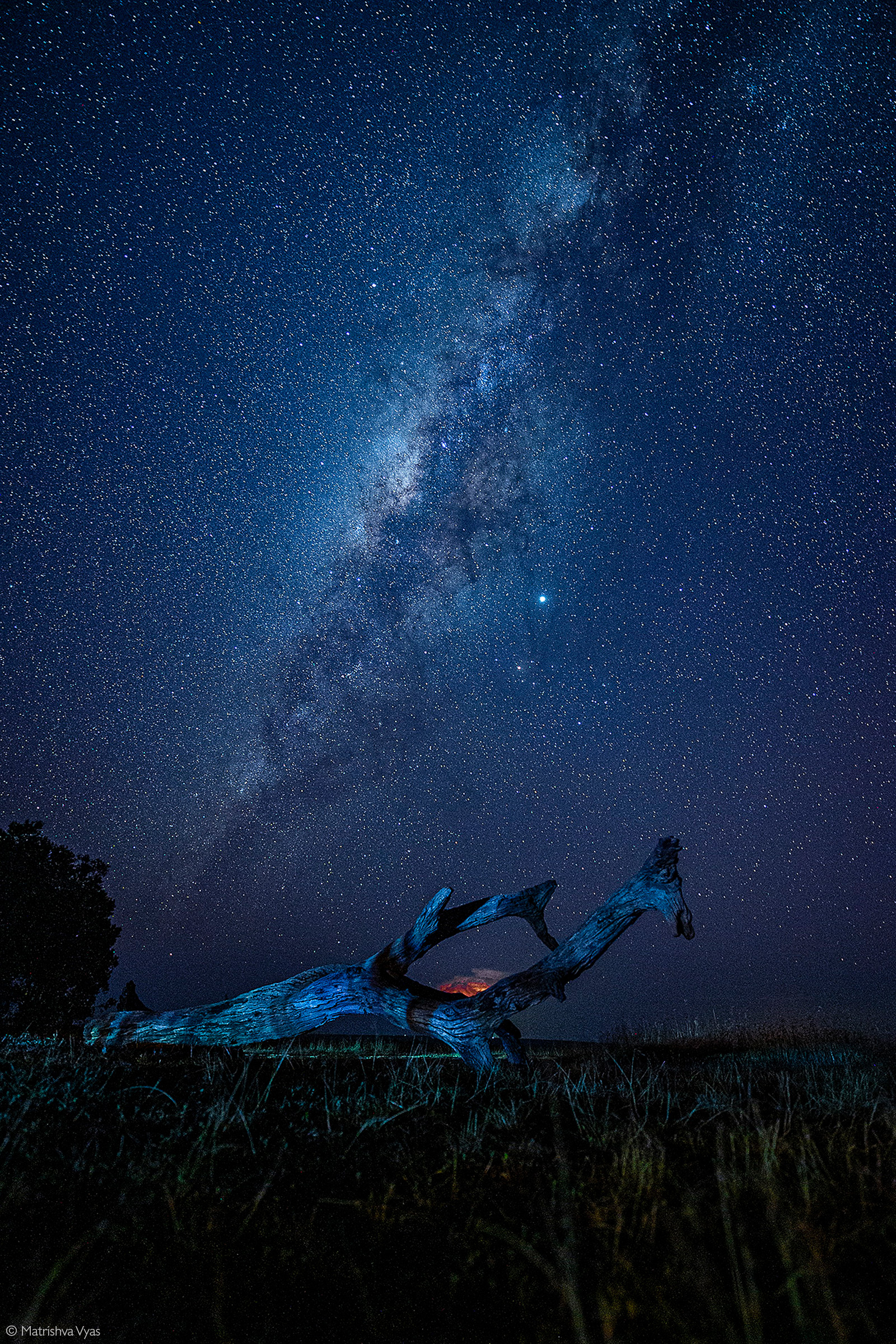 Starscape. Maasai Mara National Reserve, Kenya © Matrishva Vyas