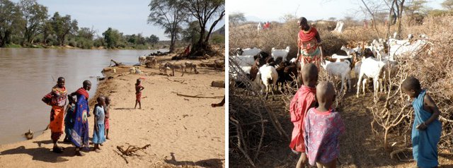 Maasai along the banks of a river and with their cattle