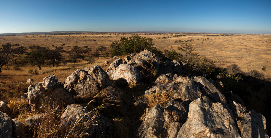 Northern Tanzania