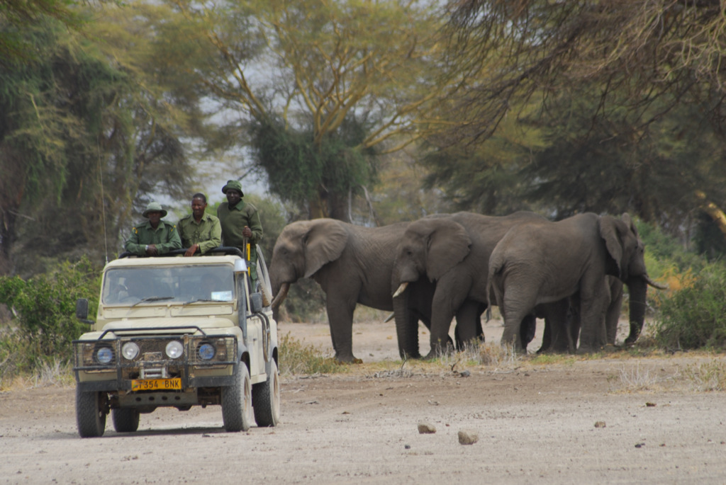 Rangers in a vehicle with elephant herd in background