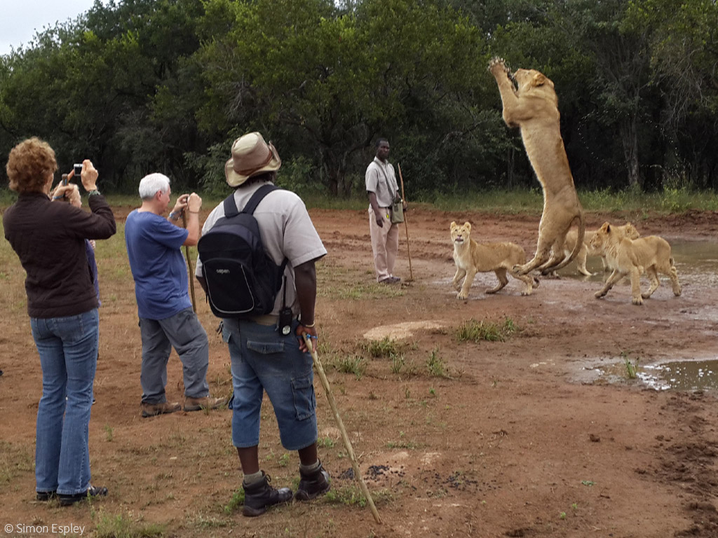 Captive wildlife