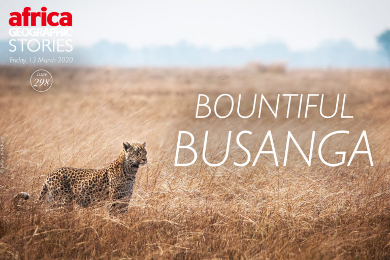 Bountiful Busanga - Africa Geographic