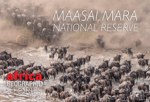 Maasai Mara
